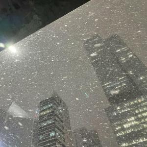 finessefathr的專輯believe it (Explicit)