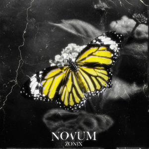 ดาวน์โหลดและฟังเพลง Novum (feat. RGM) (Explicit) พร้อมเนื้อเพลงจาก Zonix