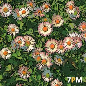 收聽7PM的꽃과 햇살 한 줌歌詞歌曲