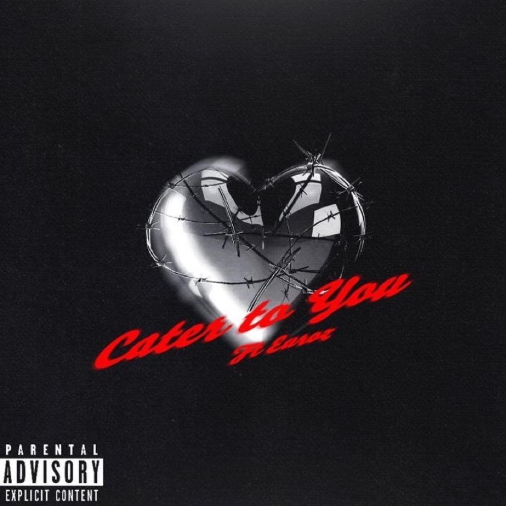 Cater to you (feat. Euroz) (Explicit)