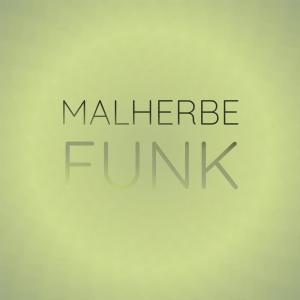 Dengarkan lagu Malherbe Funk nyanyian Zann Vman dengan lirik