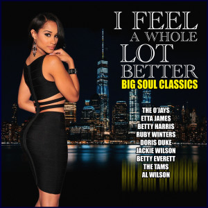 Various Artists的专辑I Feel A Whole Lot Better - Big Soul Classics