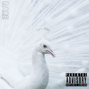 Album Rare (Explicit) from Enemies of Success