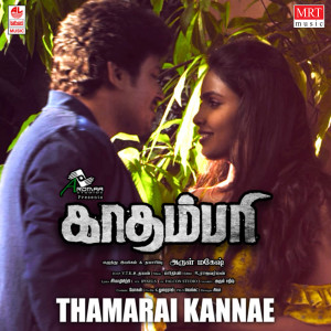 Prithivy的专辑Thamarai Kannae (From "Kadampari")