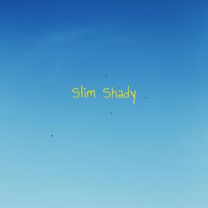 收聽Mike Vill的Slim Shady (Explicit)歌詞歌曲