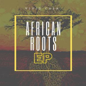 Listen to Afro Technicians song with lyrics from Vivid Casa