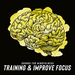 อัลบัม Sounds for Mindfulness Training & Improve Focus ศิลปิน Various Artists
