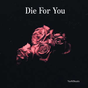 收听YarKBeats的Die For You歌词歌曲