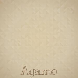 收聽Adangbe Rhythm Band的Agamo歌詞歌曲