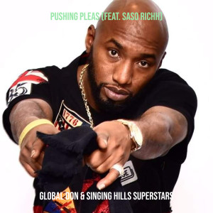 Listen to Pushing Pleas (Explicit) song with lyrics from Global Don