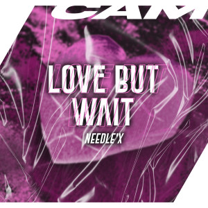 Listen to Love But Wait song with lyrics from Needle'X