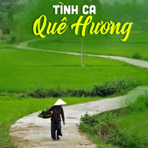 收聽Đào Vũ Thanh的Như Cánh Sen Thơm歌詞歌曲