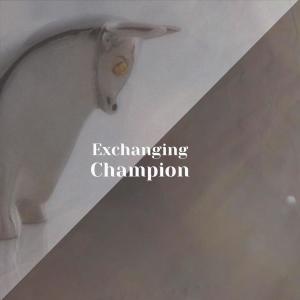 Listen to Chlorinated Dressage song with lyrics from Alfy Sels
