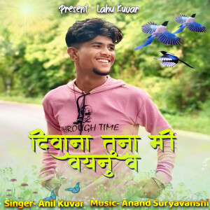Album Diwana Tuna Mi Vhaynu V from Anil Kuvar