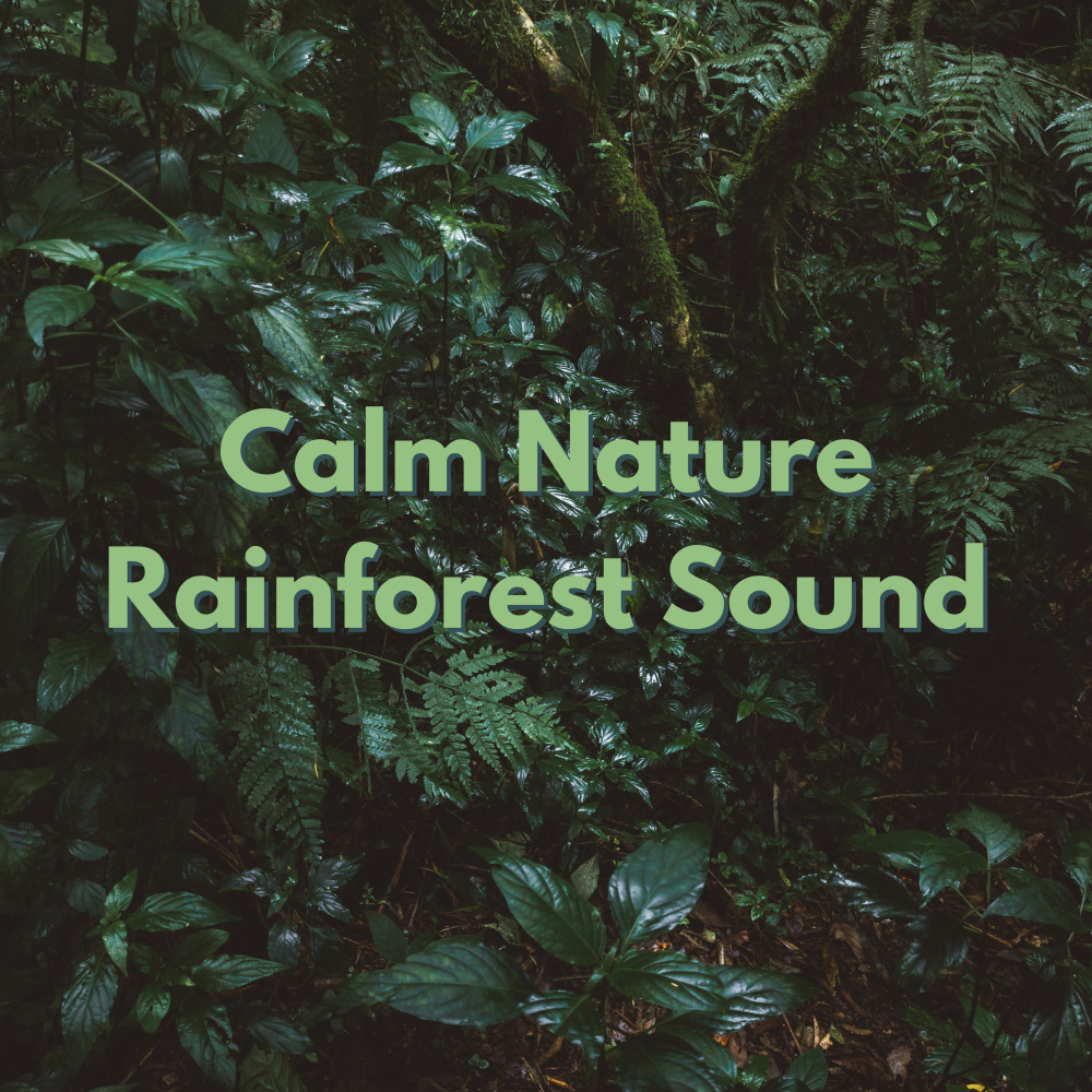 Rain Hypnosis