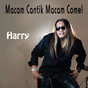 收听Harry的Macam Cantik Macam Comel歌词歌曲