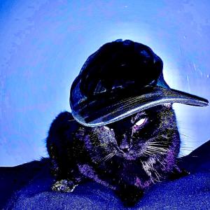 收聽PacMon的the drop you need (before i leave) (feat. Noah Gazmen) (Monsey Remix|Explicit)歌詞歌曲