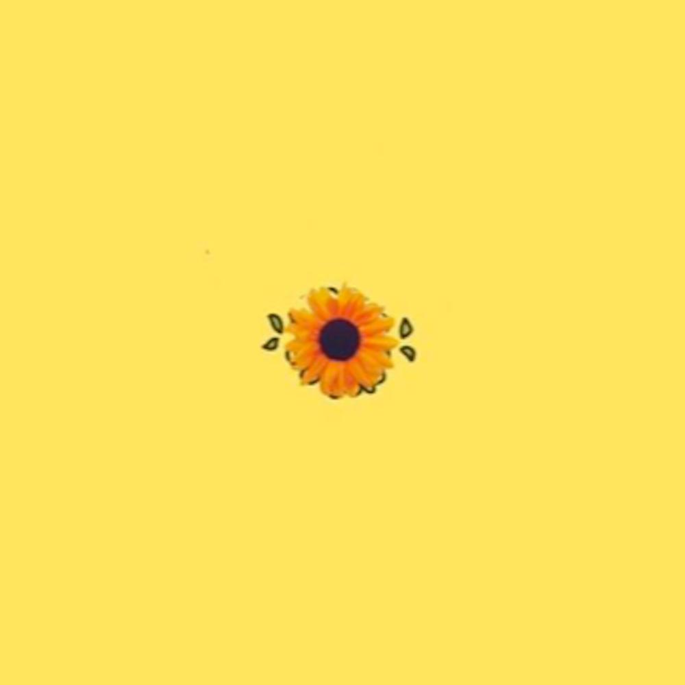 Obvious Lo-fi Boy(feat. Sahar)