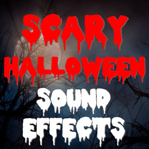 Album Scary Halloween Sound Effects from Wildlife
