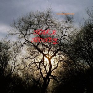 ดาวน์โหลดและฟังเพลง Carry On (其他) พร้อมเนื้อเพลงจาก Sugar Ranking