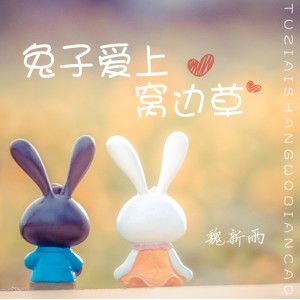 兔子爱上窝边草 (DJ默涵版)