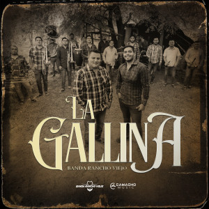 Listen to La Gallina song with lyrics from Banda Rancho Viejo De Julio Aramburo La Bandononona
