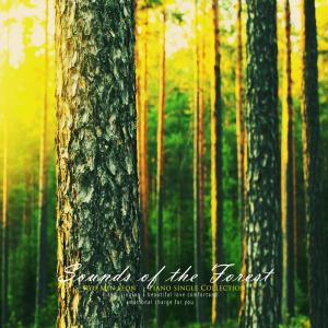 Album The sound of the forest from Ryu Minseon