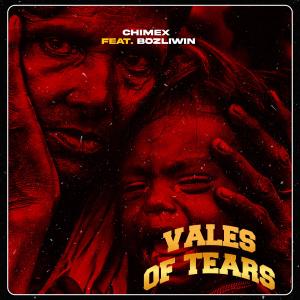 收聽Chimex的VOT (VALES OF TEARS) (feat. Bozliwin)歌詞歌曲