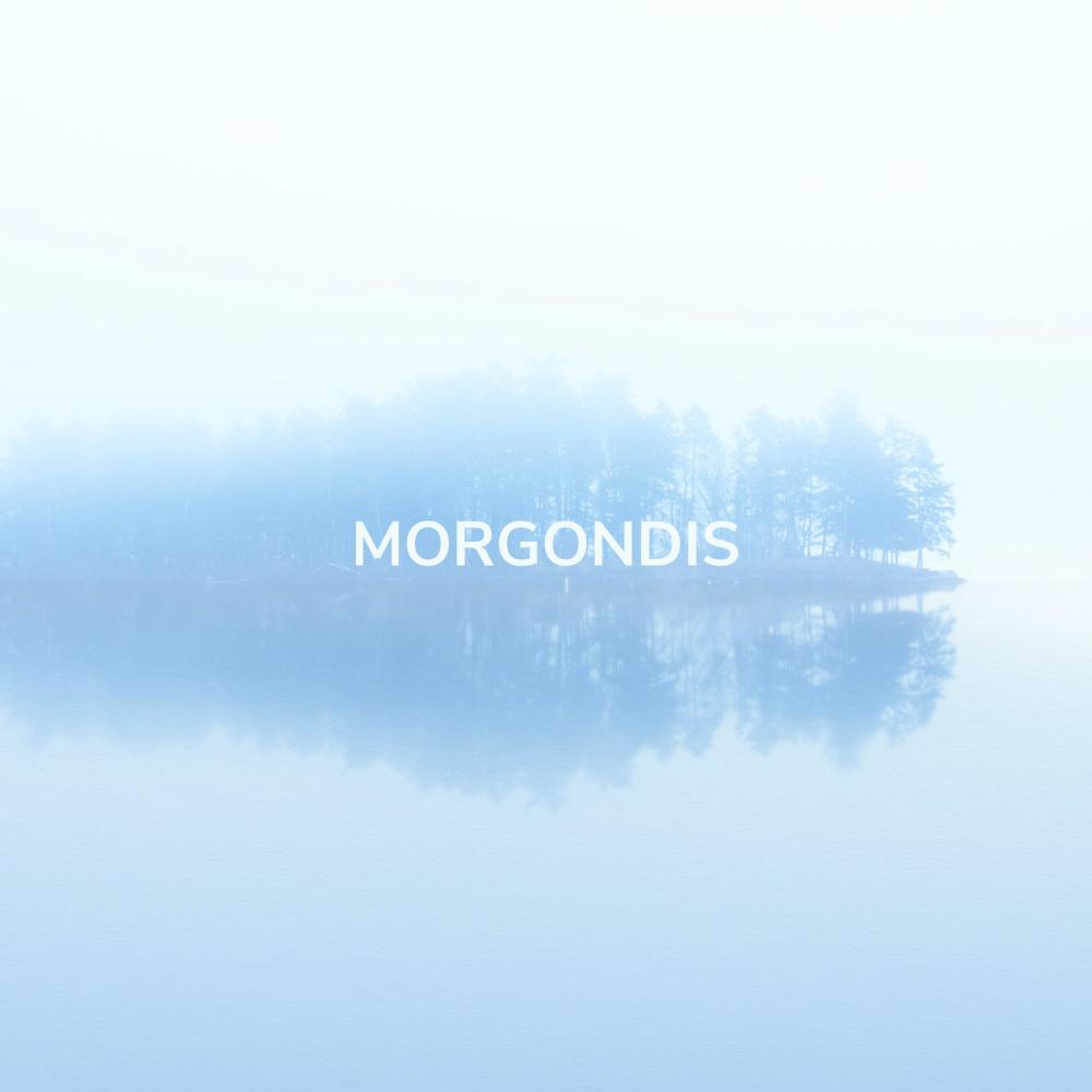 Morgondis