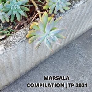 Album MARSALA COMPILATION JTP 2021 from Various