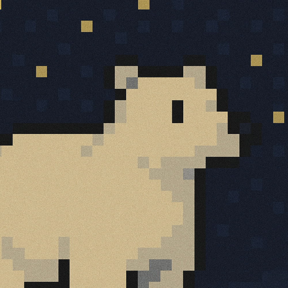 MAKKA PAKKA DRILL