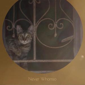 收聽Emers Wira的President Truism歌詞歌曲