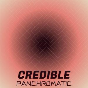 Album Credible Panchromatic from Various