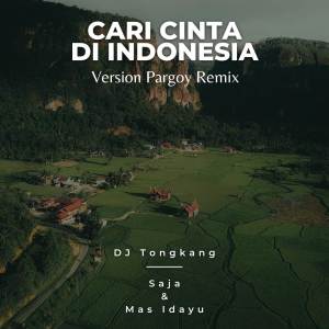 อัลบัม Cari Cinta Di Indonesia (Pargoy Remix) ศิลปิน DJ Tongkang