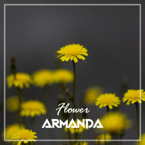 Listen to Flower song with lyrics from Armanda