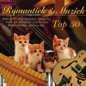 Various Artists (NL)的專輯Romantiek & Muziek Top 50