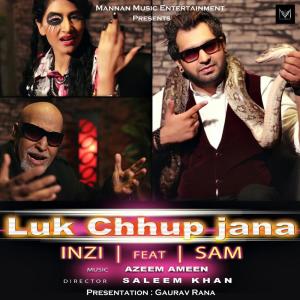 Album Luk Chhup Jana oleh Inzi