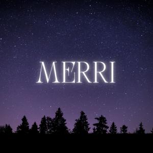 Listen to Merri (Explicit) song with lyrics from Niko