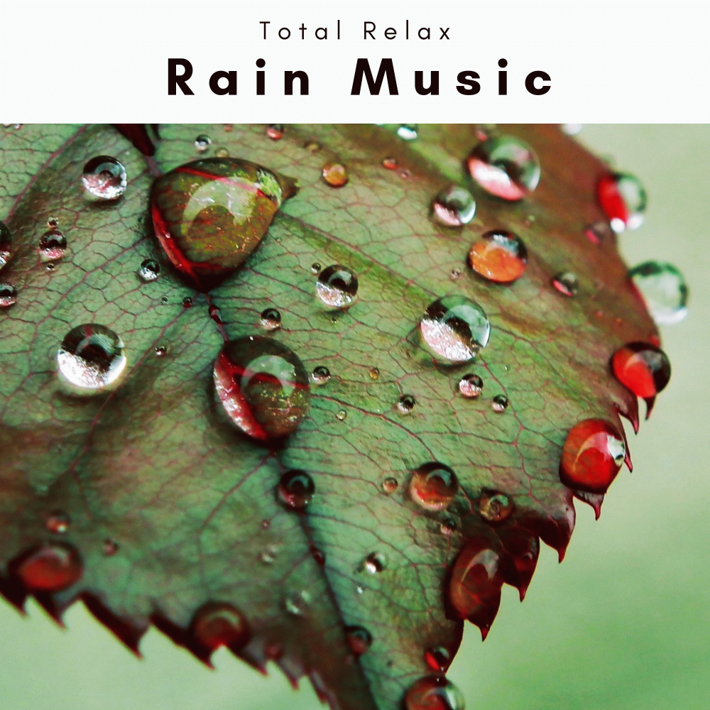 Smooth Distant Rain Sound Journeys for Instant Sleep