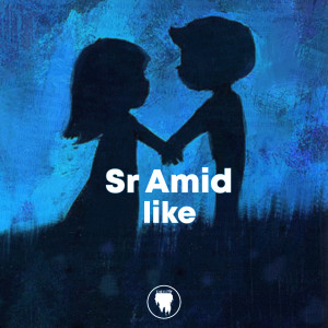 Sr Amid的专辑Like