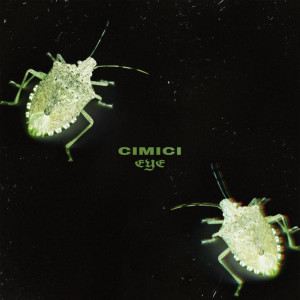 Listen to Cimici (Explicit) song with lyrics from Eye