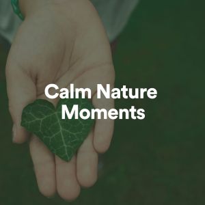 Nature Sounds的专辑Calm Nature Moments