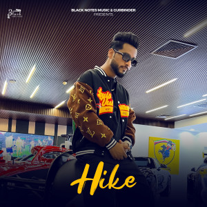 Listen to Hike song with lyrics from Kuldeep Rathorr
