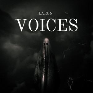 Album Voices (Explicit) from LaRon