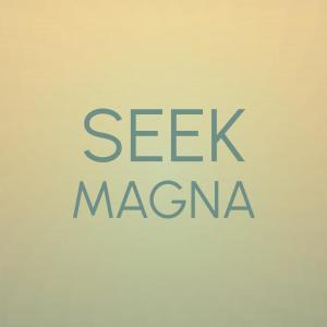 Various Artists的專輯Seek Magna