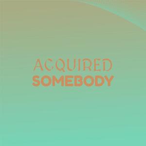 Various的专辑Acquired Somebody