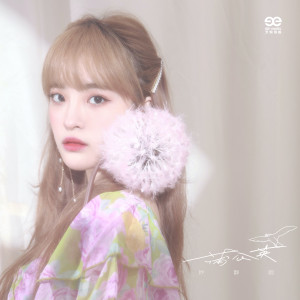 收聽妙靜鷗的蒲公英歌詞歌曲