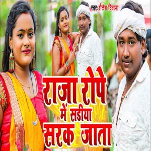 Listen to Raja Rope Me Sadhiya Sarak Jata song with lyrics from Shailesh Diwana