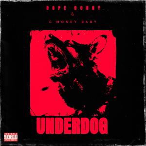 Listen to Underdog (Explicit) song with lyrics from Dope Donny