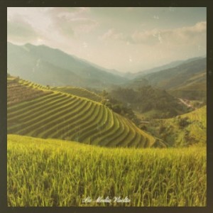 Listen to La Media Vuelta song with lyrics from Trio Siboney